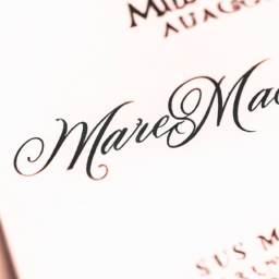 save my marriage program